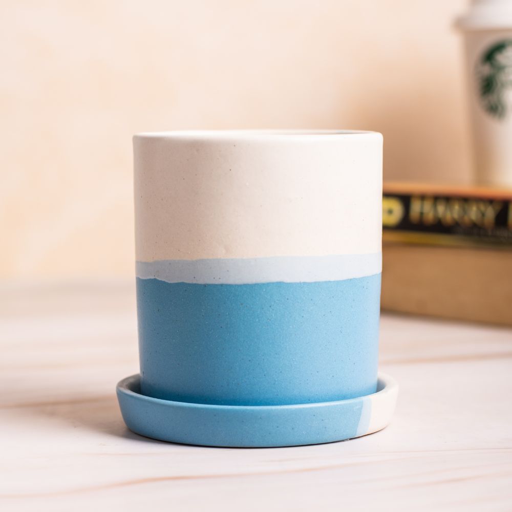 Barrel White-Blue Colour Planter with Dripping Tray