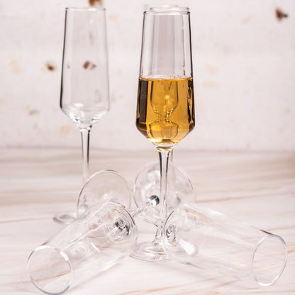 Champagne Glass Set of 6