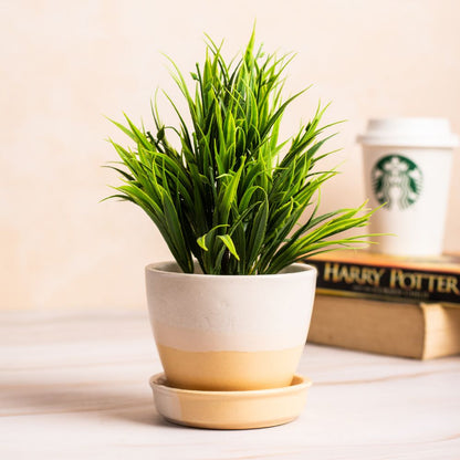 Elliptic White-Yellow Planter with Dripping Tray