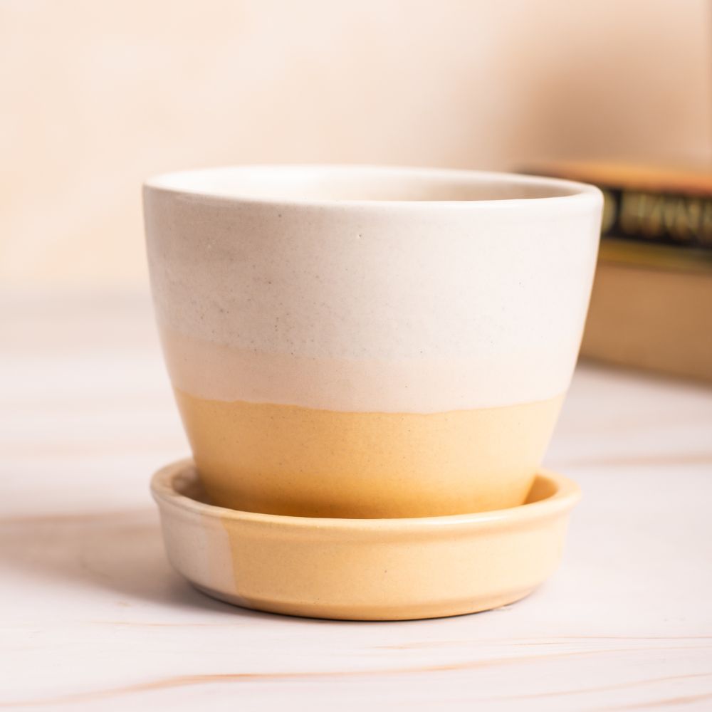 Elliptic White-Yellow Planter with Dripping Tray