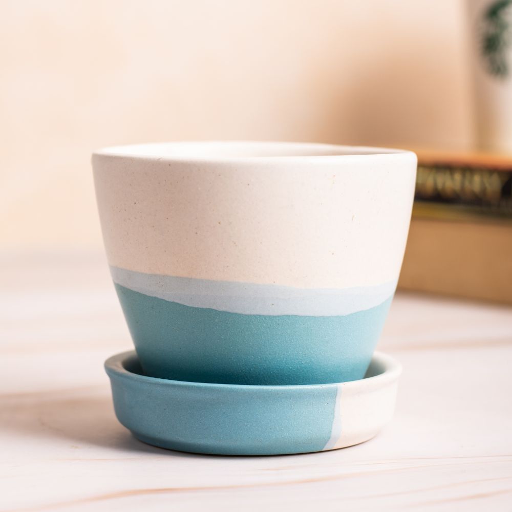 Elliptic White-Blue Planter with Dripping Tray