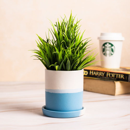 Barrel White-Blue Colour Planter with Dripping Tray