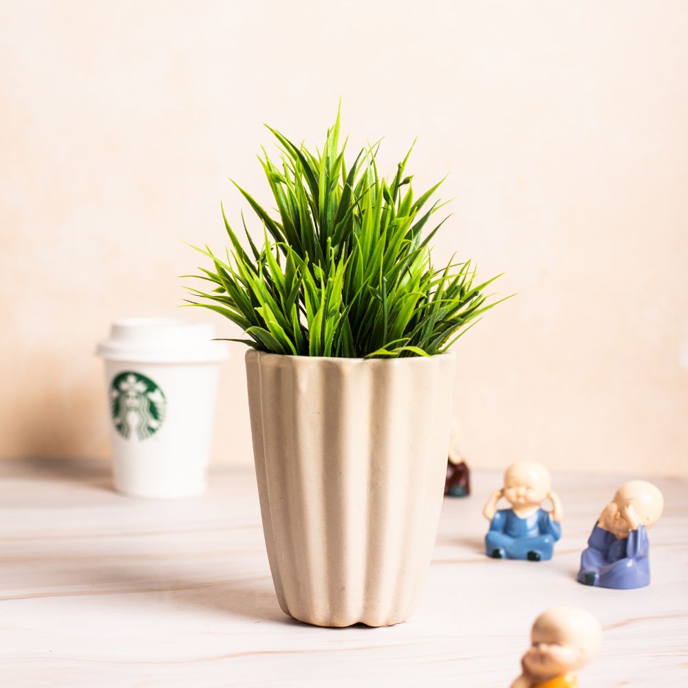 Tumbler Cream Colour Planter