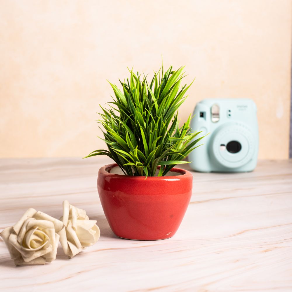 Red Heart Desk Planter