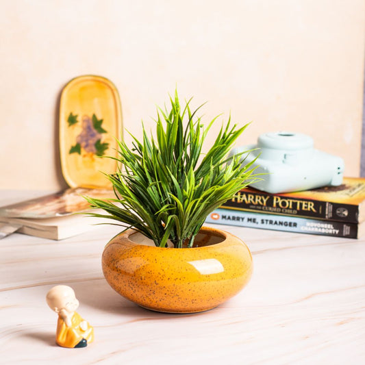 Orange Desk Planter