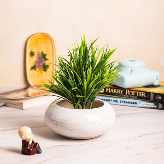 White Desk Planter