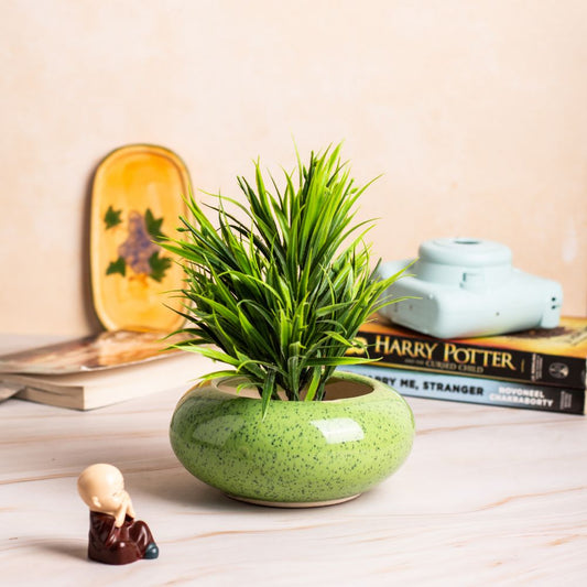 Green Desk Planter