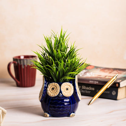 Nocturnal Owl Blue Planter