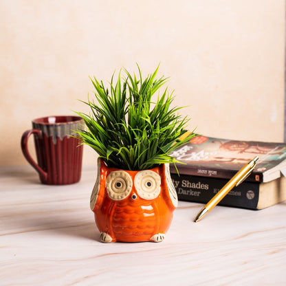 Nocturnal Owl Orange Planter